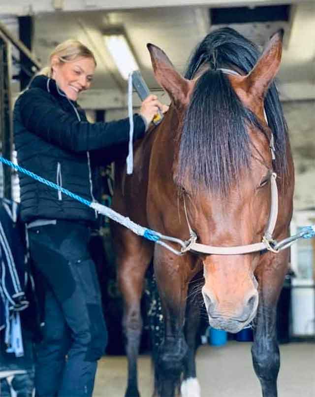 Equine Therapy - Horse massage - Fascia - Laser and kinesiotape in Falsterbo - Höllviken annd Malmö